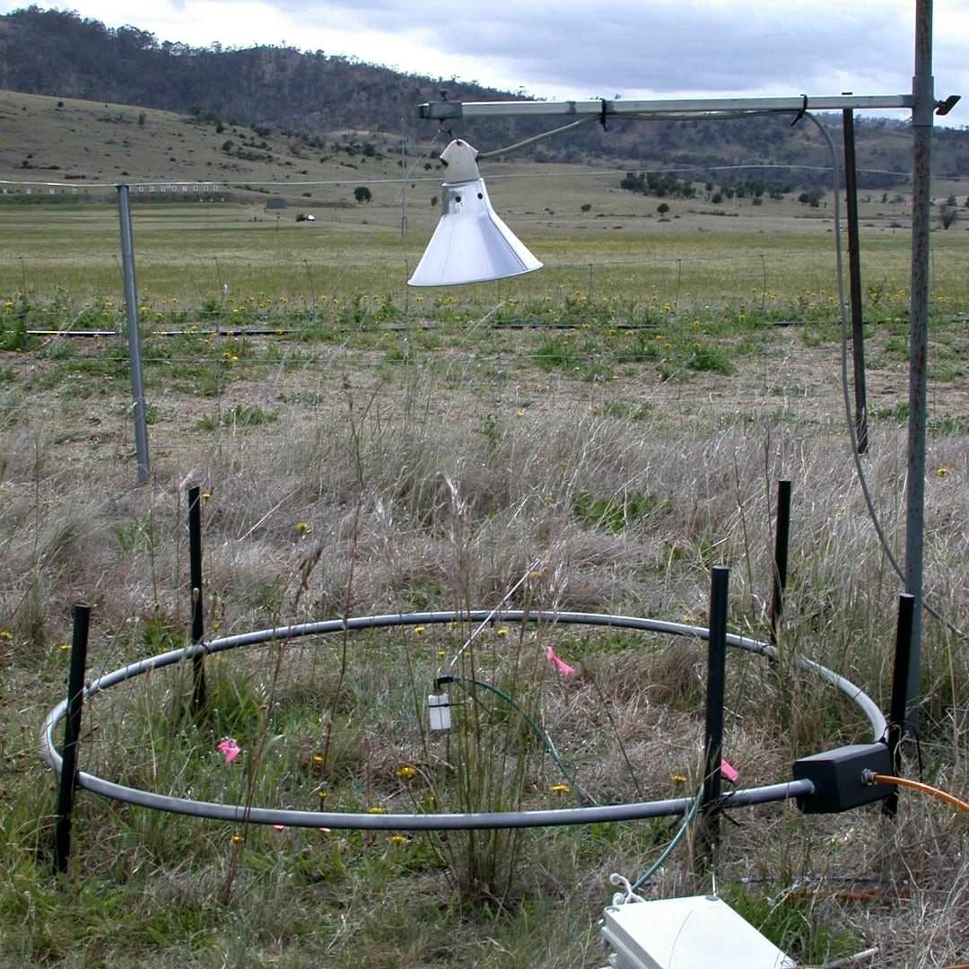 Experimental set-up