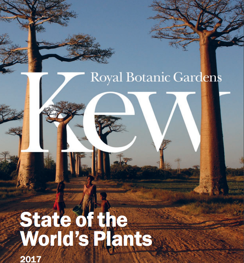 L'état des plantes dans le monde 2017