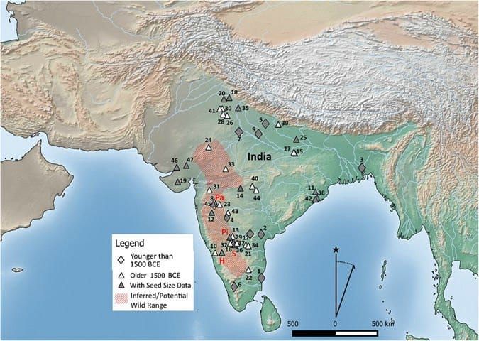 Carte montrant la distribution du premier horsegram archéologique, indiquant les sites inclus dans cette étude