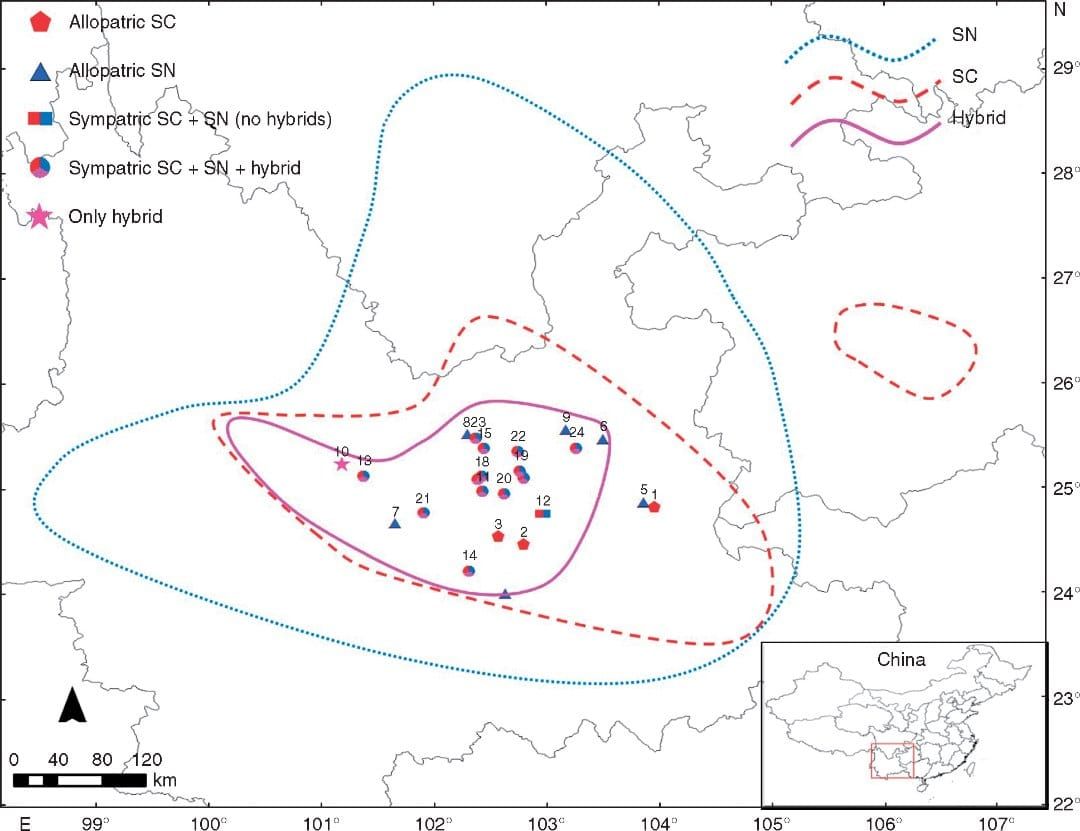 Die geografische Verteilung der 24 in dieser Studie verwendeten Rhododendron-Populationen ist im geografischen Verbreitungsbereich dargestellt.