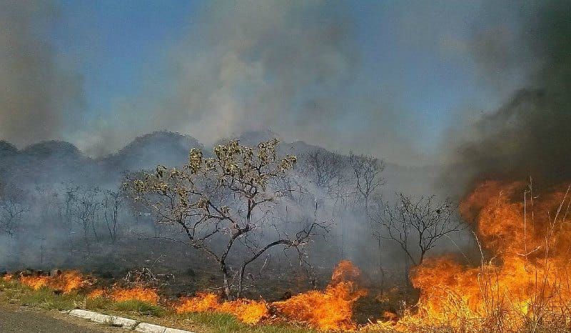 Savanna fire, an increasingly rare sight in parts of the Cerrado.