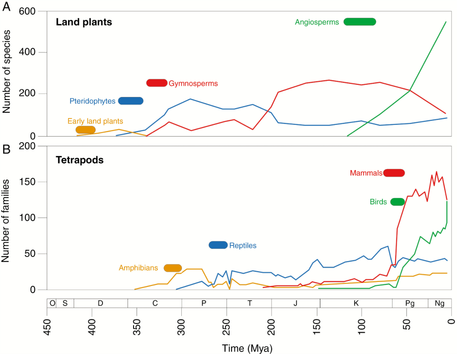 Species development over time