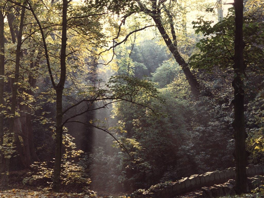 Una vista de Jesmond Dene Newcastle upon Tyne tomada en 1975.