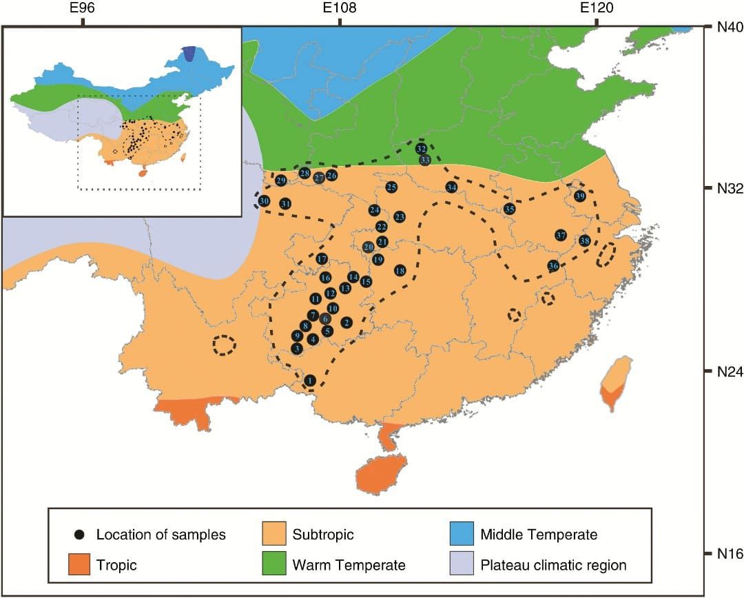 Map of the presumed geographic distribution of P. adenopoda