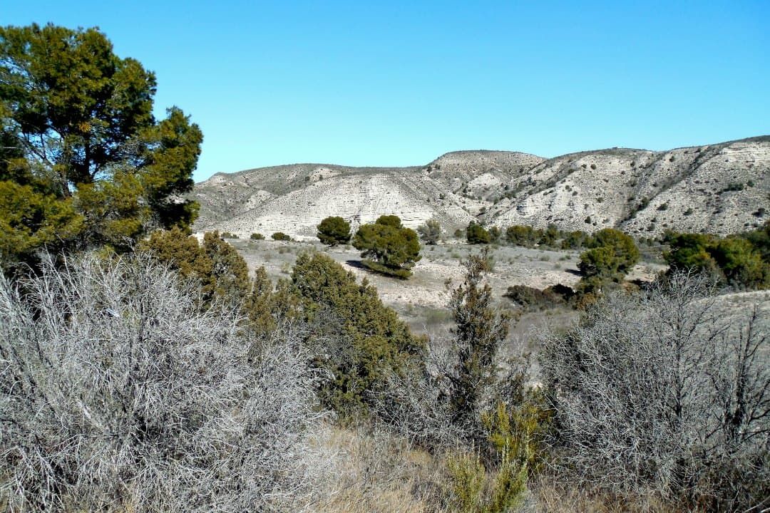 Spanish scrubland.
