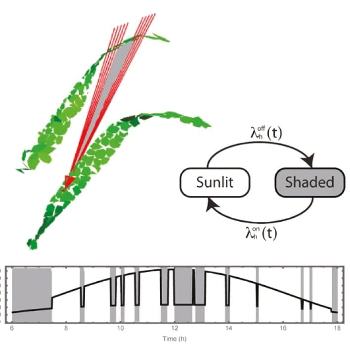 Diagram of light dynamics