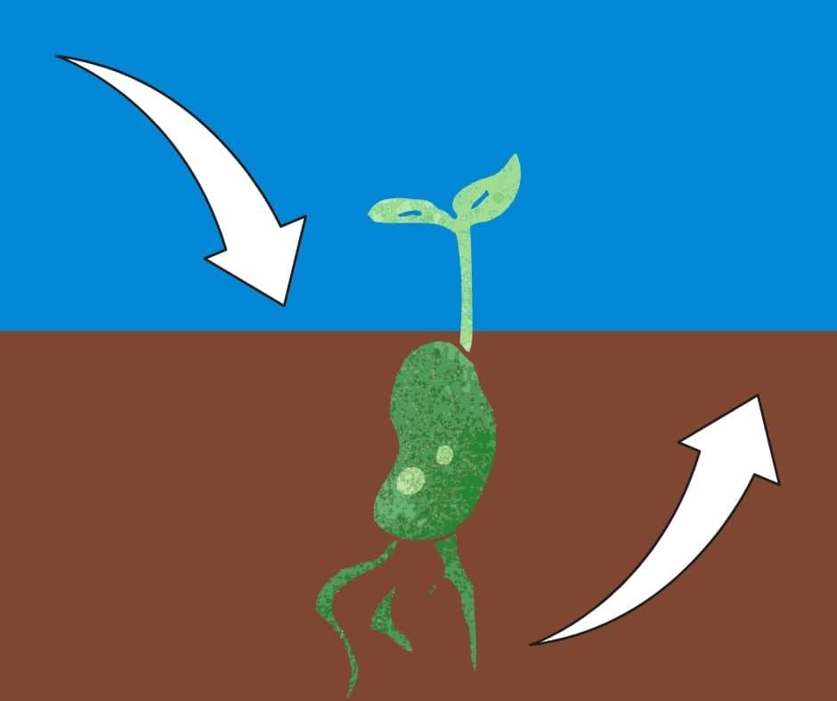 Source sink diagram