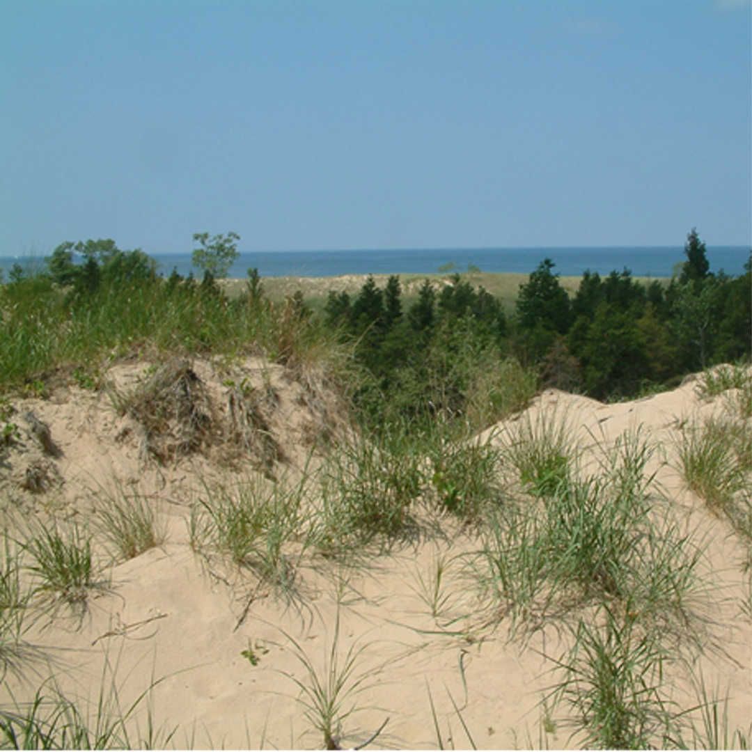 Dunes