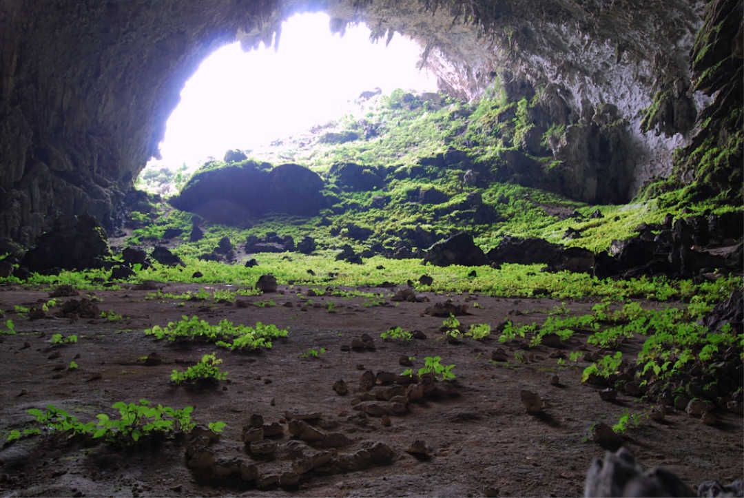 Cueva de Yangzi, Guangxi, China.