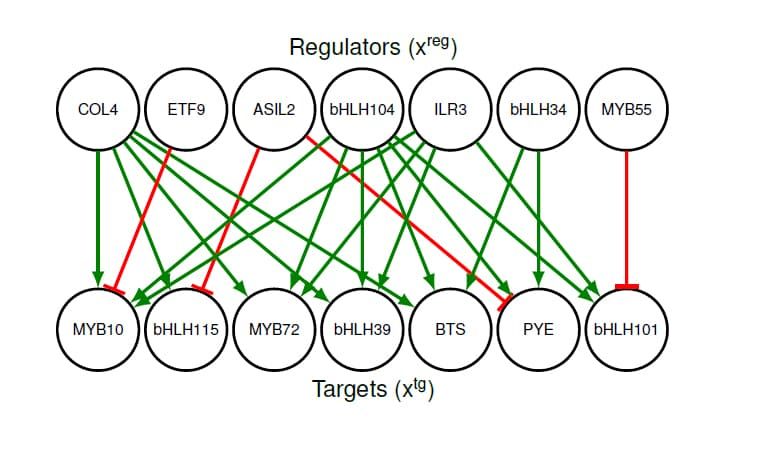 Un diagrama