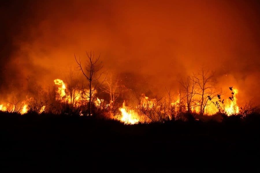incendio forestal