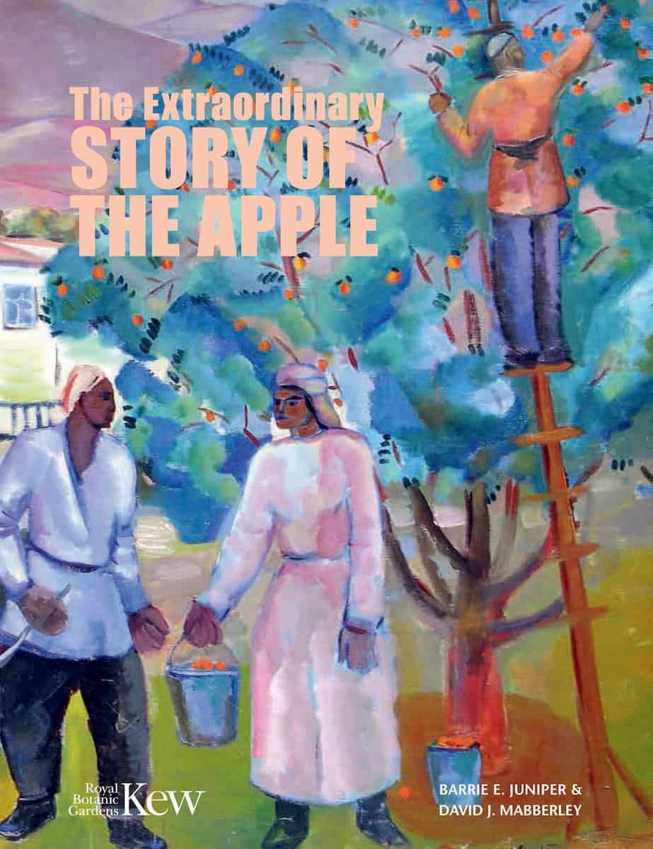 The extraordinary story of an ‘ordinary’ fruit…