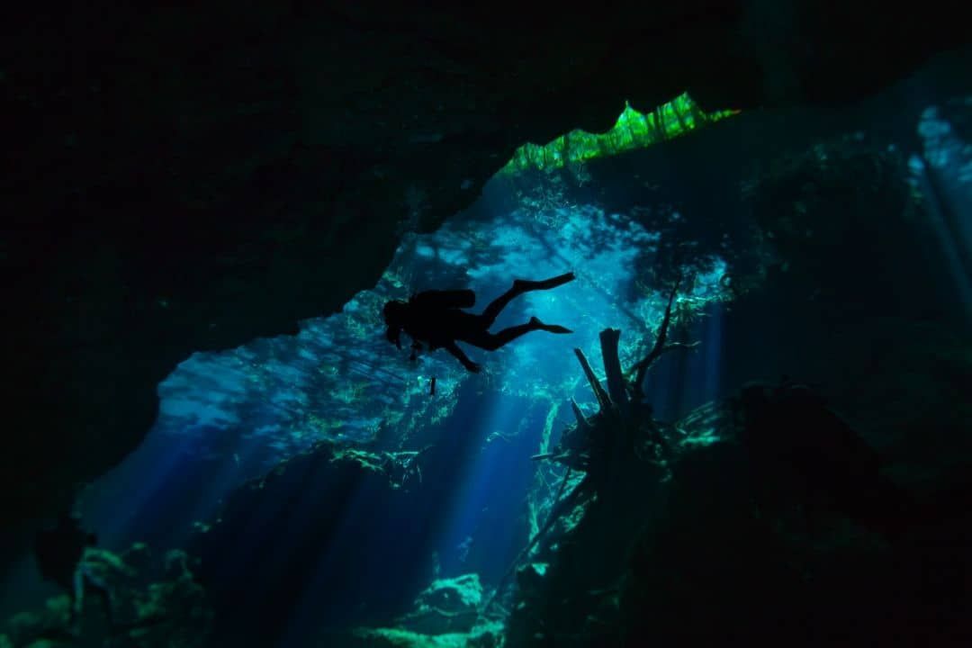 Identificando la biodiversidad del inframundo maya