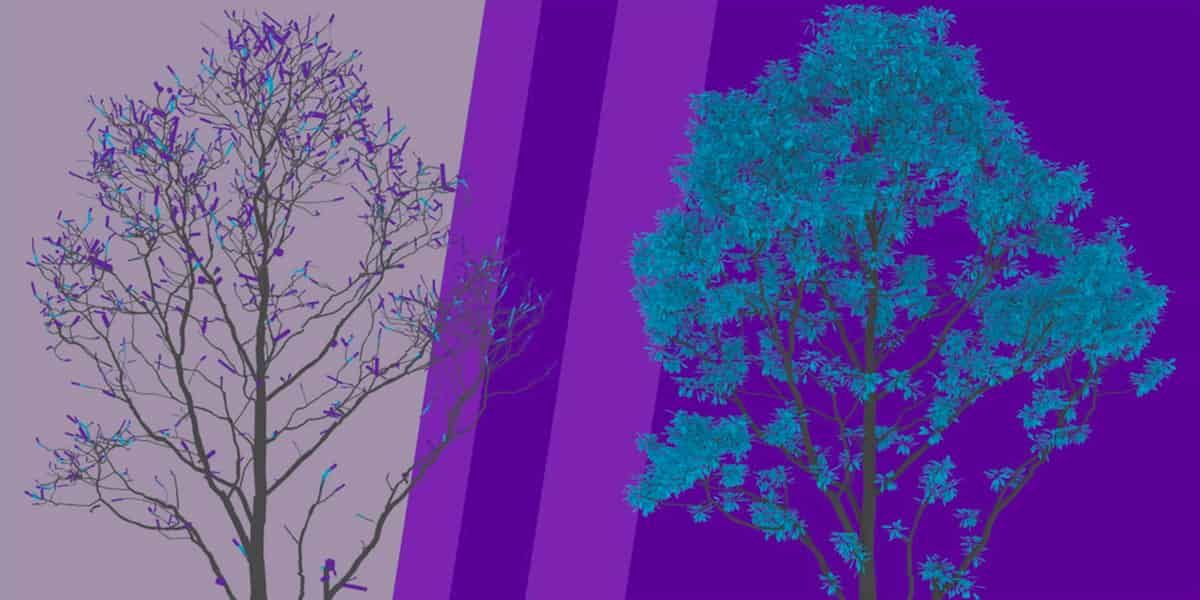 Call for Papers für Annals of Botany: 3D-Waldmodelle und Laserscanning-Daten