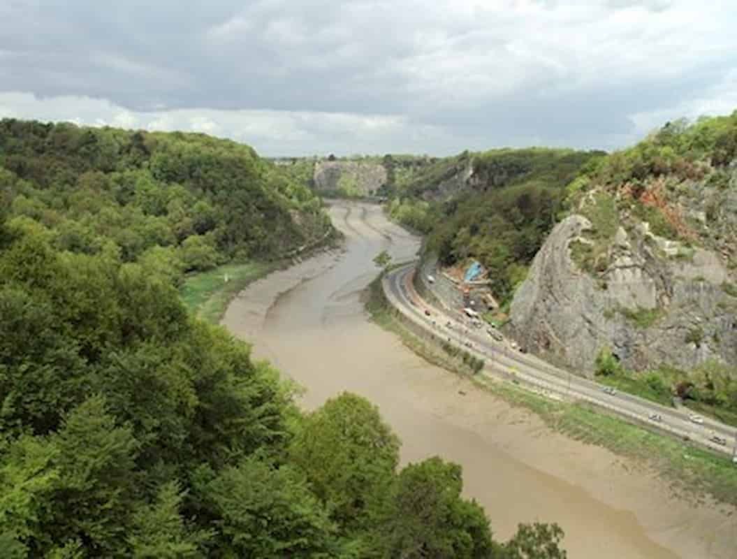 'Fuera de Iberia': cómo el berro de roca de Bristol llegó a donde está hoy