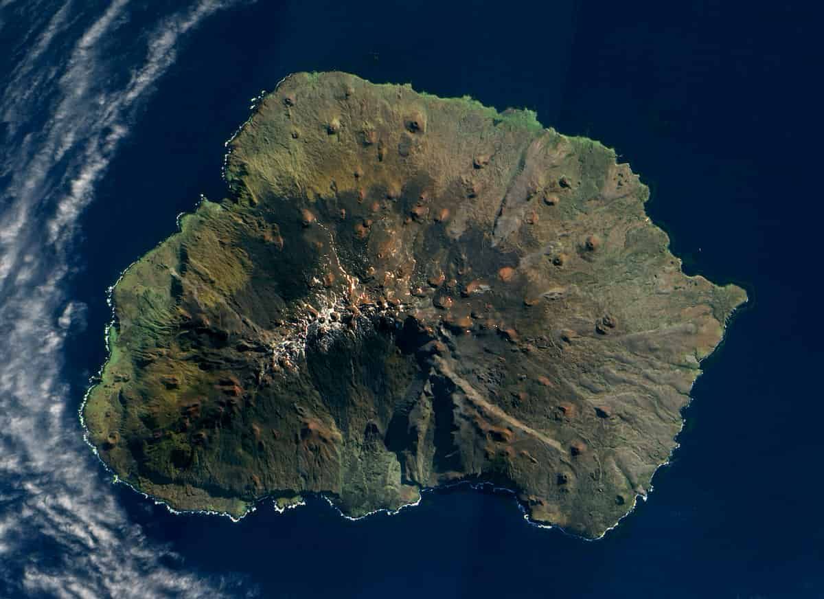 Les herbes envahissant une île subantarctique réagissent à la hausse des températures, à un coût
