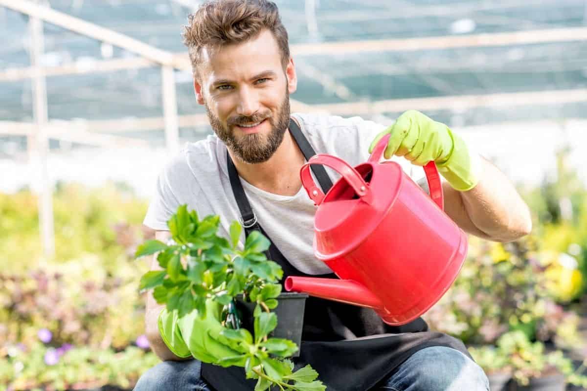 7 Plants You’ll Be Seeing More Of As Model Species