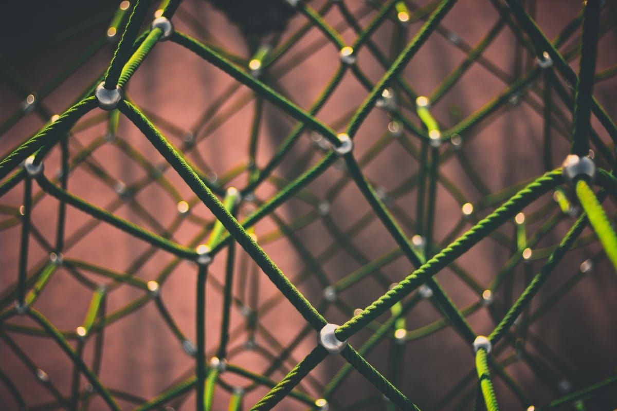 Plant-mSubP: una herramienta de aprendizaje automático para predecir la localización subcelular de proteínas de objetivo único y múltiple