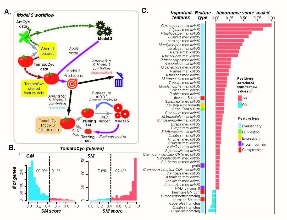 Transferring annotation information between species through machine learning