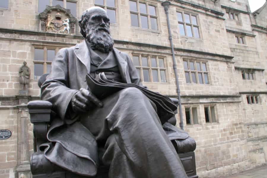 A new spin on Darwin’s “abominable mystery”