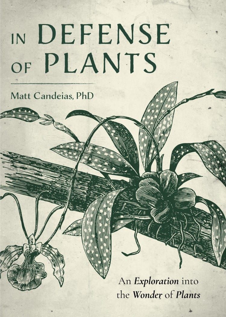 In celebration of plants