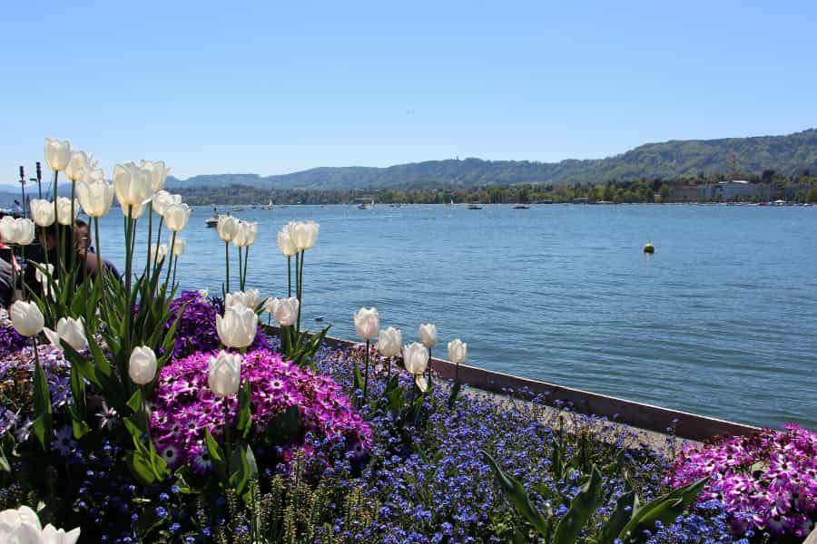 La science citoyenne rencontre la botanique urbaine à Zürich
