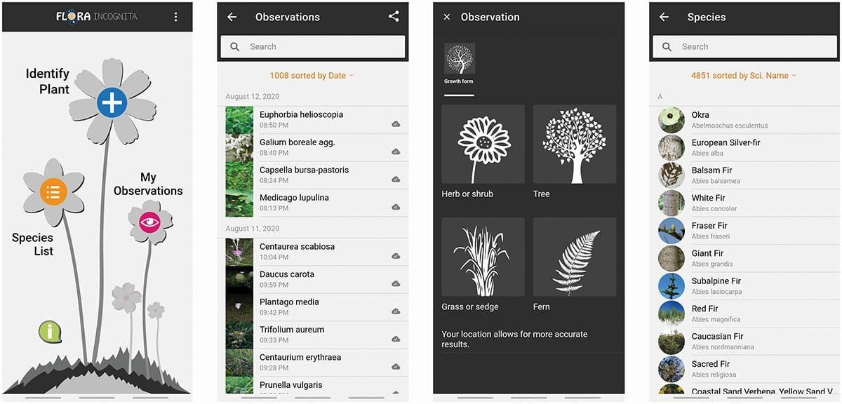 Flora Incognita muestra una alta precisión de identificación en el norte de Europa