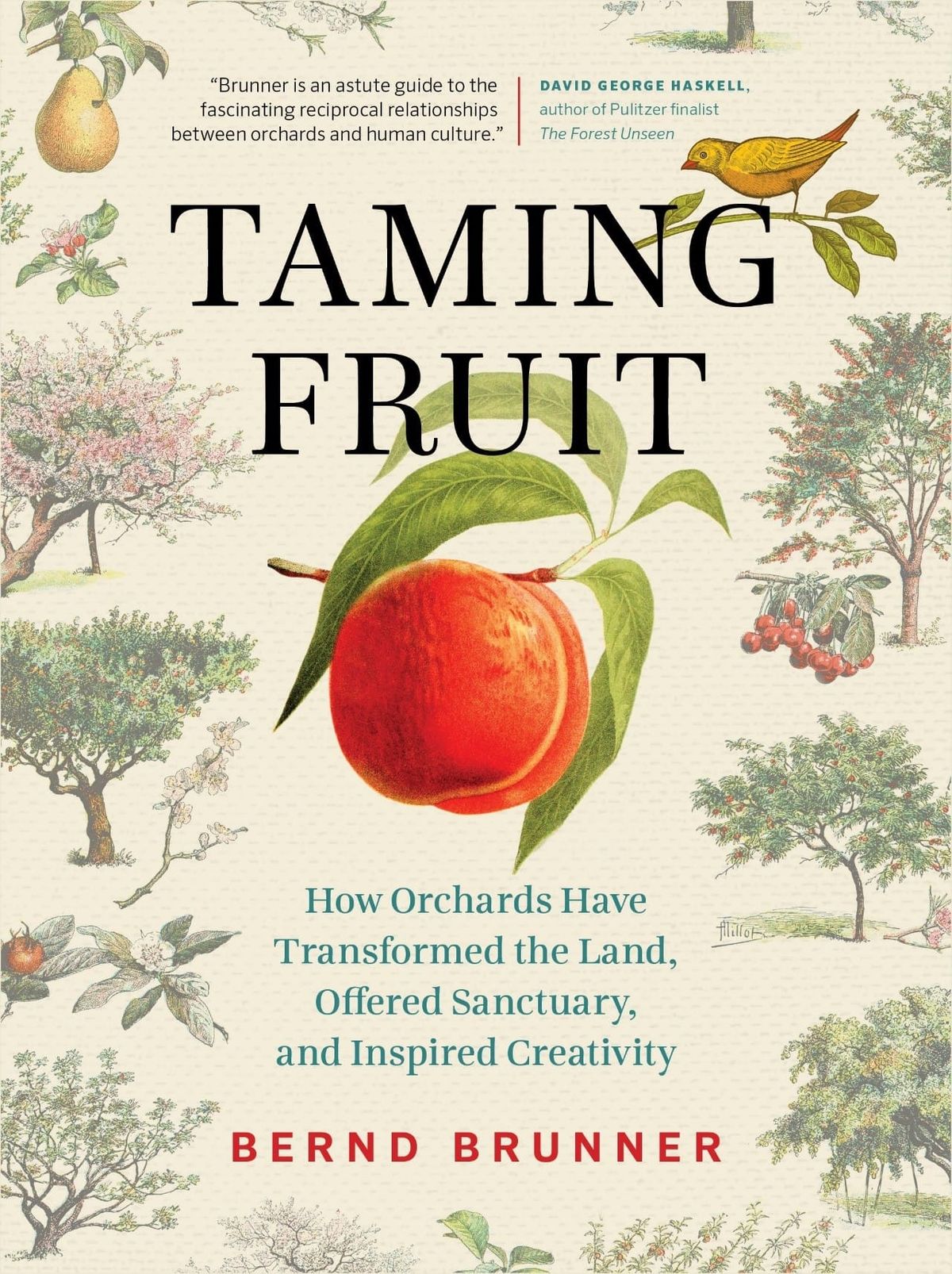 Cultiver l'intérêt pour les fruits