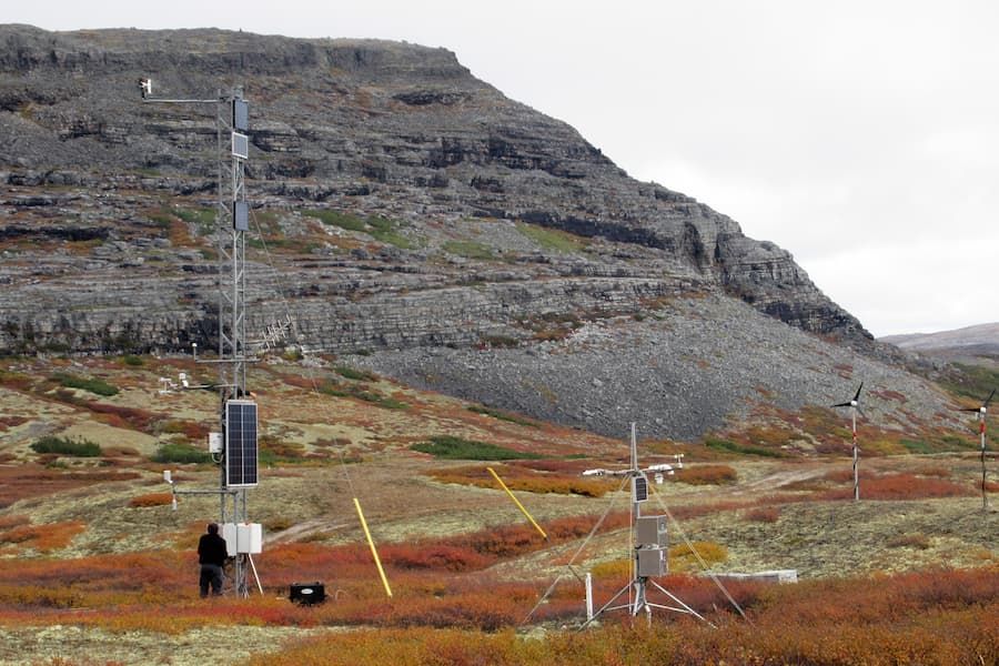 La vegetación regula el intercambio de energía en el Ártico