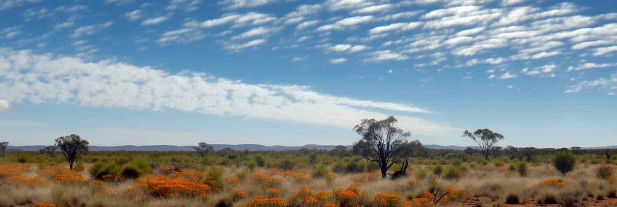 An imagined Australian Outback.