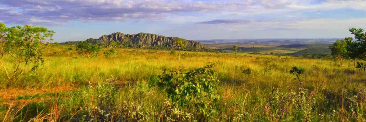 A view across of landscape of lush grass.