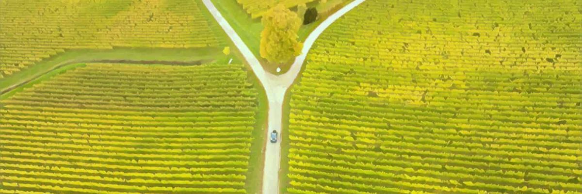 A car travelling in on a road among fields.