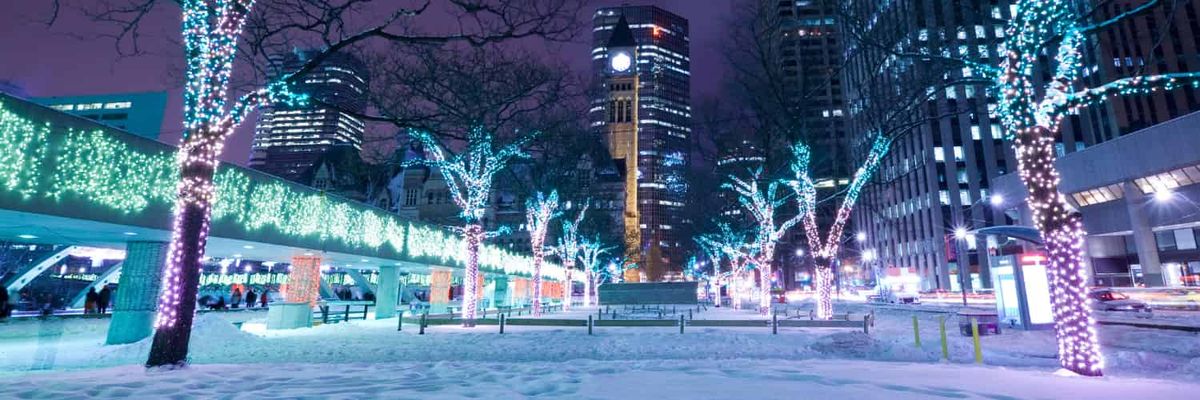 Árboles en un centro comercial azul helado de Toronto, iluminados por luces de hadas.