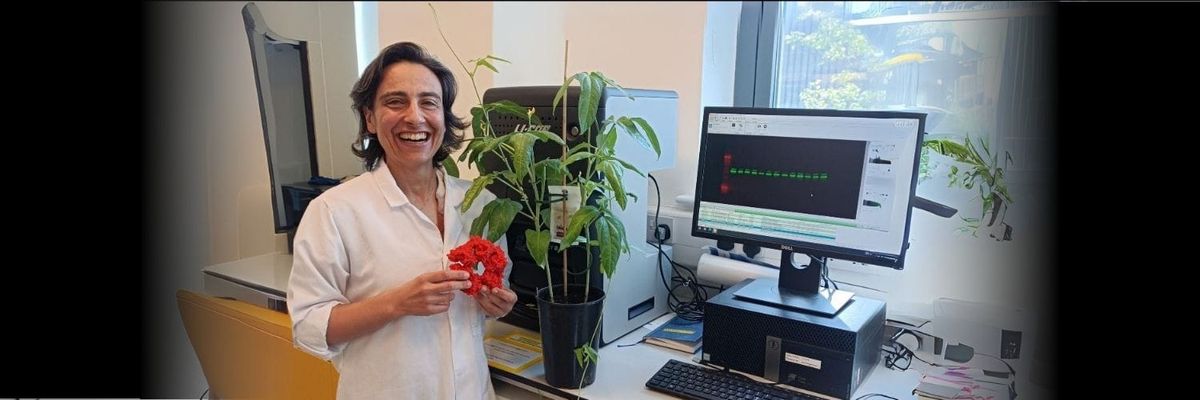 Pesquisadores adotam abordagem para pesquisas mais éticas sobre plantas