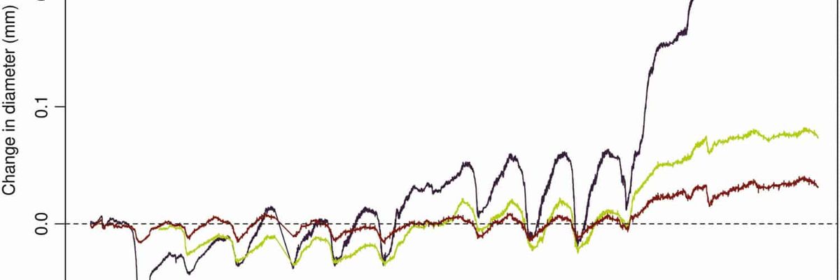 Close-up of a hydraulic graph