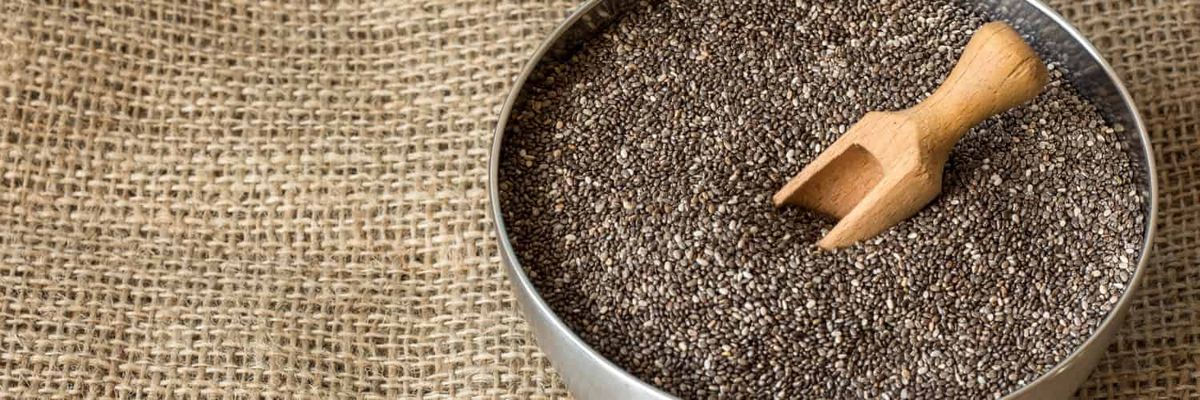 La science derrière le chia : un voyage dans son pouvoir nutritionnel
