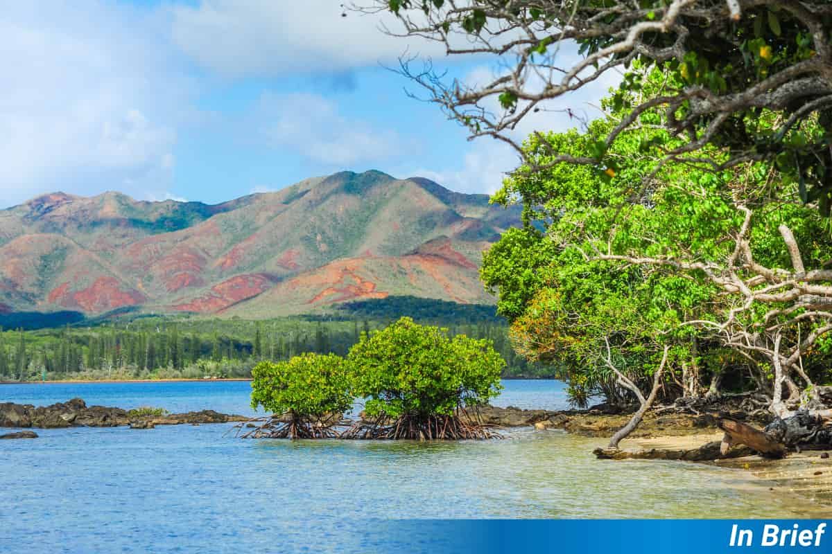 New Caledonia