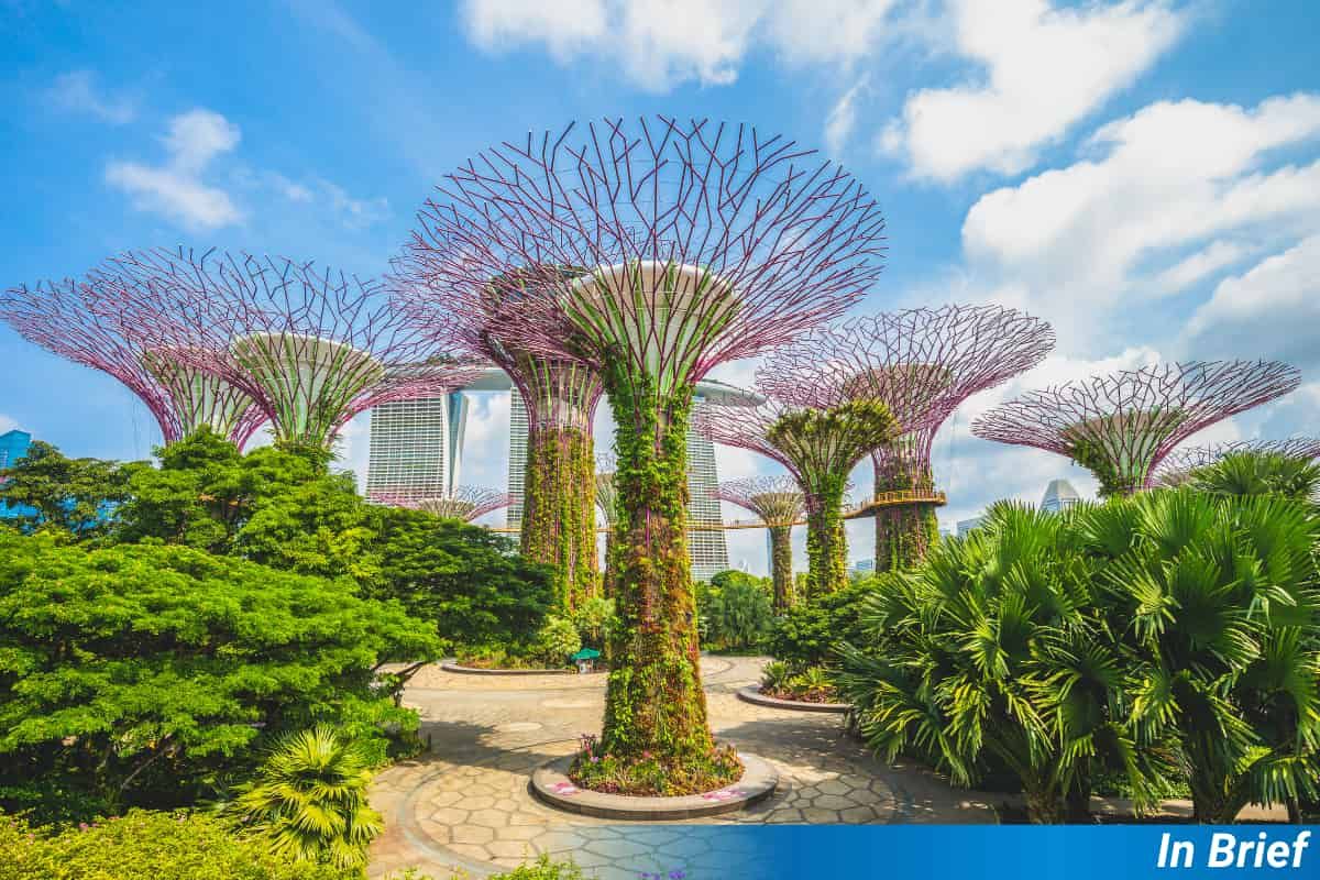 Metal trees in Singapore.