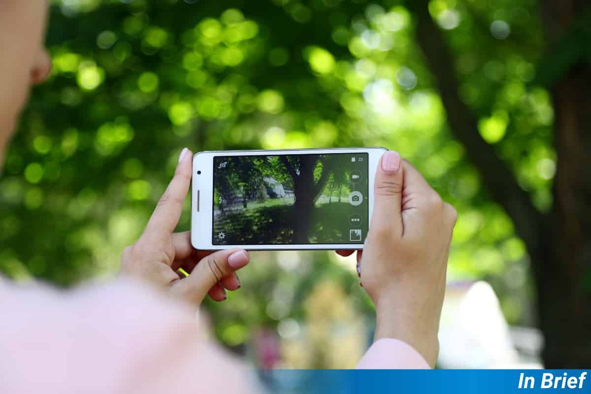 Ein Telefon in einem (großen) Garten
