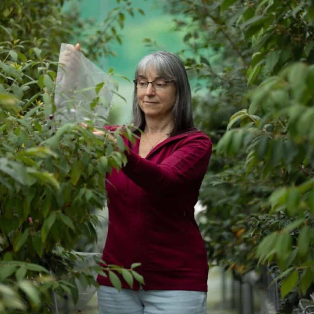 Karen Sommerville wearing glasses and a burgundy long-sleeved top, standing among green foliage in what appears to be a garde