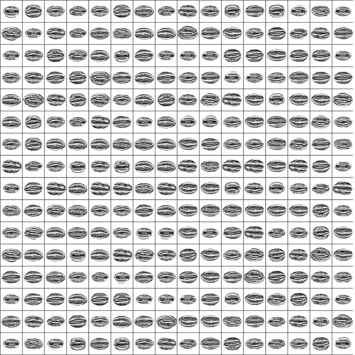 Estomas sintéticos: aprovechamiento de imágenes artificiales para un mejor análisis estomático