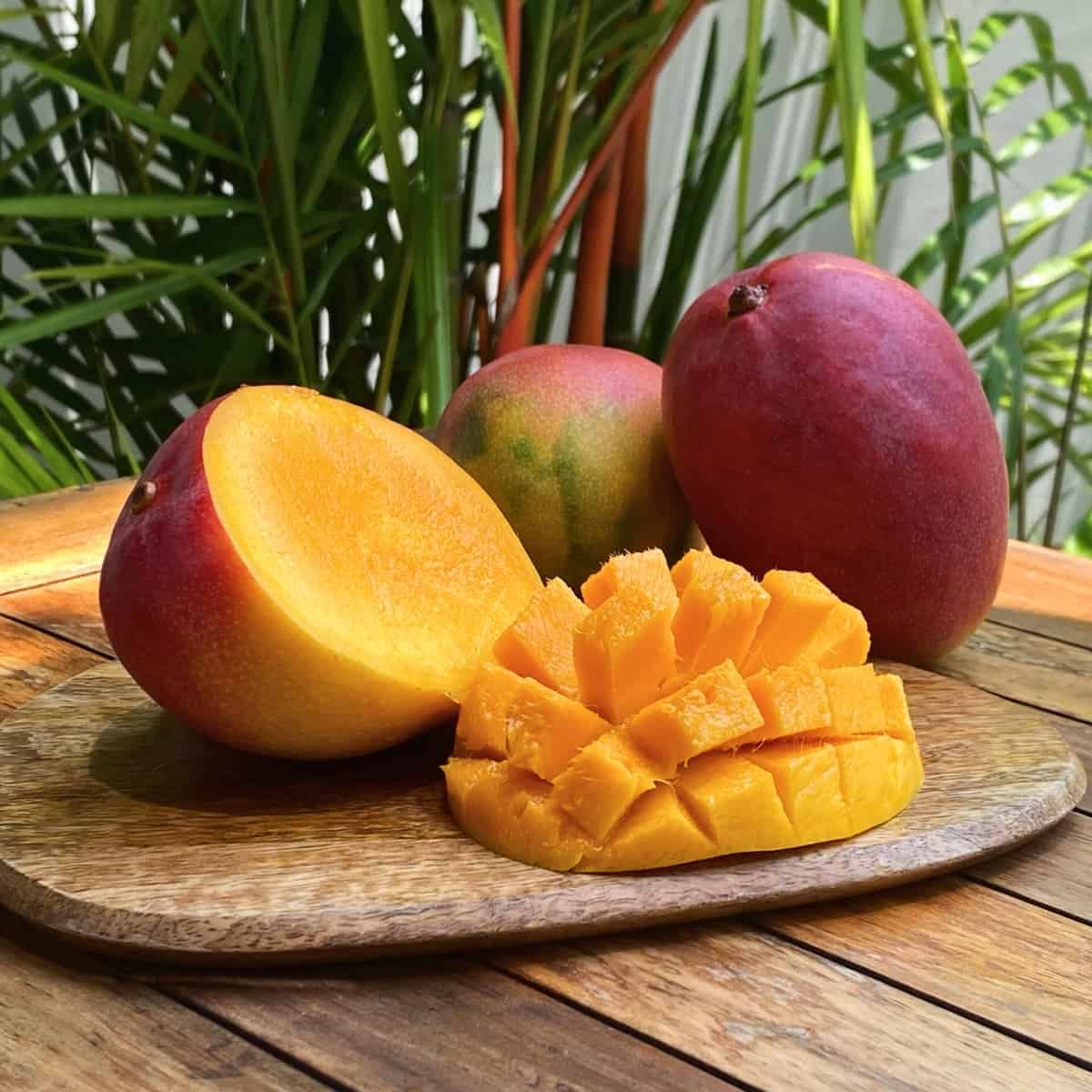Une mangue, incluse comme image vedette sans raison apparente.