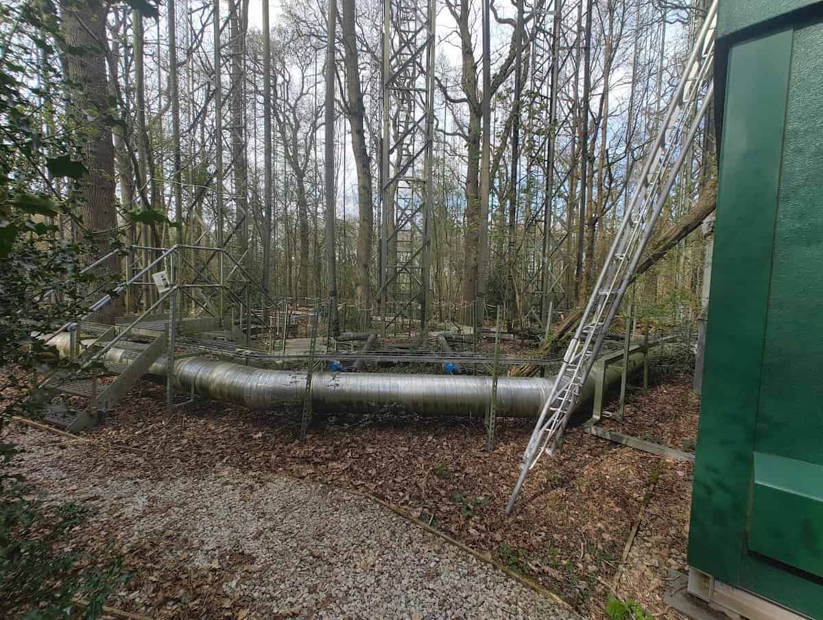 Um cano transportando CO2 através de uma floresta.