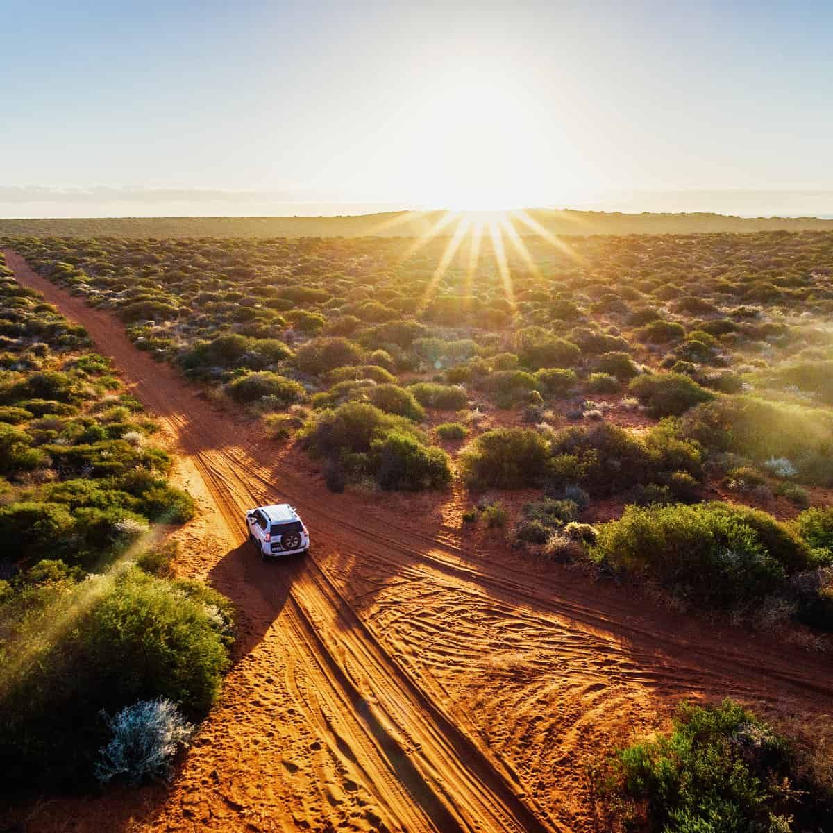 A car drives off-road in the outback of Western Australia. Bushes cover the ground sporadically where there is no track.