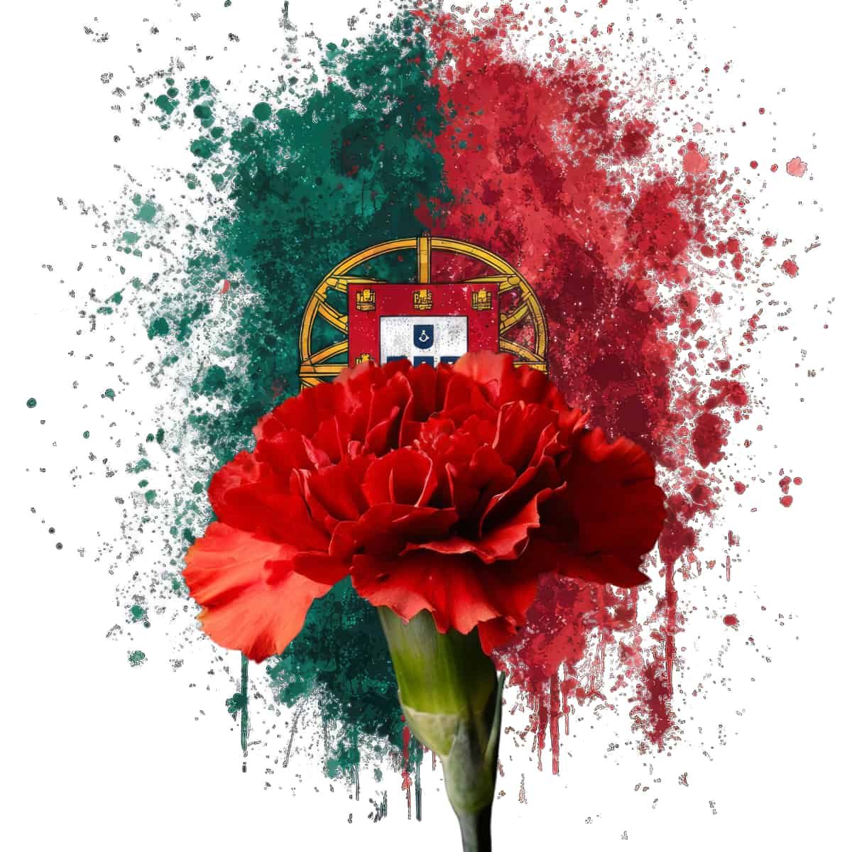A red carnation in front of a paint spatter in the colours of Portugal's flag.