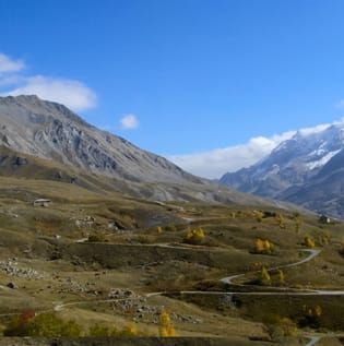 Plant resource-use strategies and phenotypic plasticity