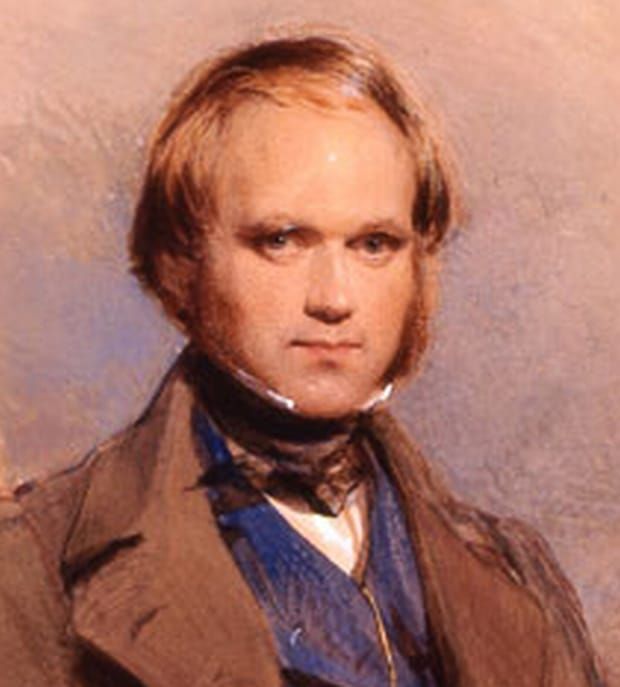 Image: portrait of the 31-year-old Charles Darwin by George Richmond, 1840.