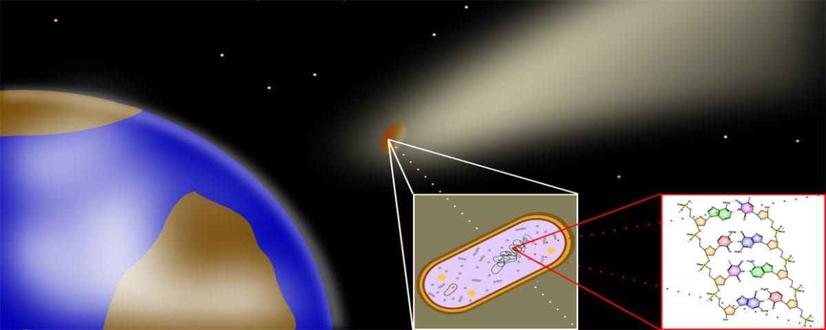 Image: Wikimedia Commons.