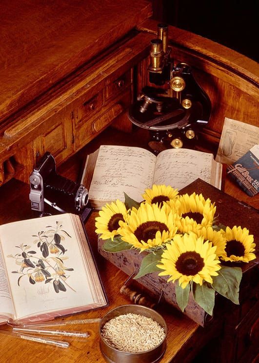 Scott Bauer, USDA ARS.