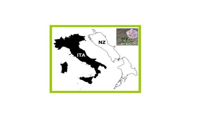Free—open access paper: Chromosome number variation in two antipodean floras